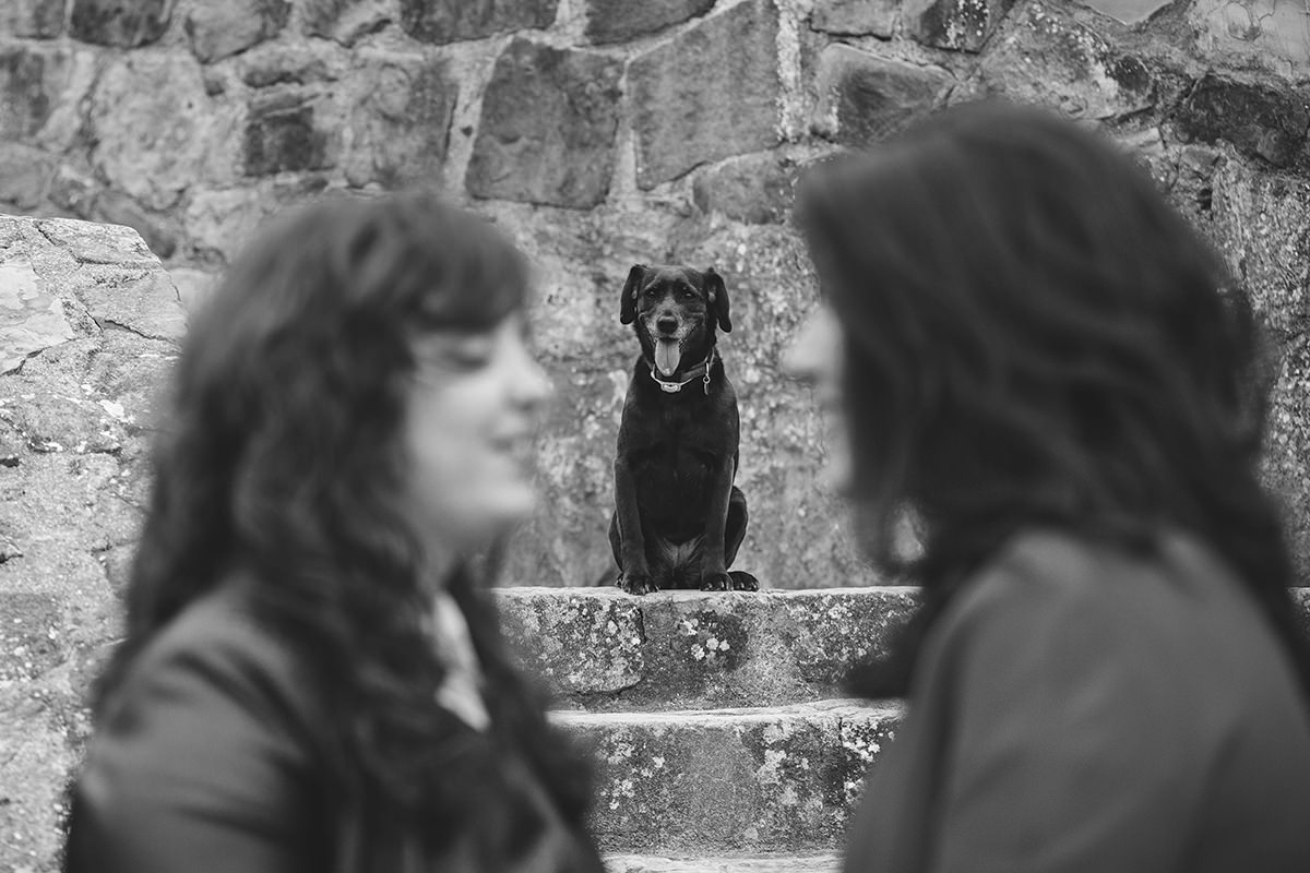 Sesión de pareja en Bilbao, Bizkaia , España po Juno & Hera Wedding photography