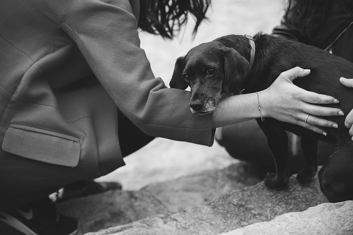 Sesión de pareja en Bilbao, Bizkaia , España po Juno & Hera Wedding photography